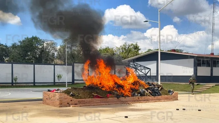 FGR incinera más de 941 kilos de narcóticos y destruye 317 máquinas tragamonedas en Nayarit - imagen 4