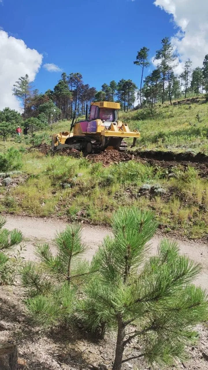 SDR abre convocatoria de apoyos para conservación y restauración de recursos naturales en Chihuahua - imagen 2