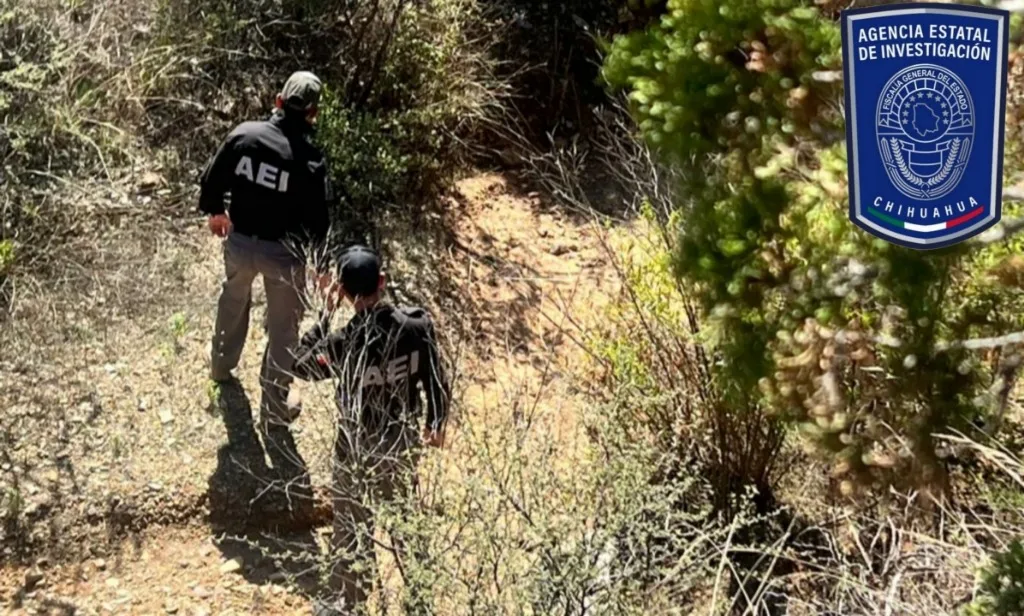 Fiscalía de Chihuahua realiza operativo de búsqueda de personas en Santa Bárbara - imagen 2