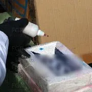 FGR incinera en Oaxaca más de 590 kilogramos de narcóticos en operativo de control regional - imagen 1