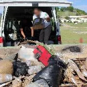FGR incinera en Oaxaca más de 590 kilogramos de narcóticos en operativo de control regional - imagen 5