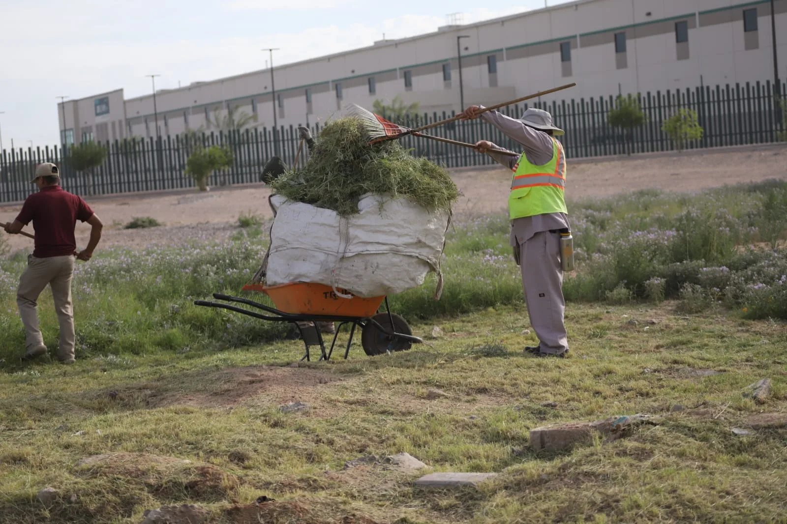 Avanza Cruzada del Cambio con mantenimiento en 35 avenidas de Torreón - imagen 1