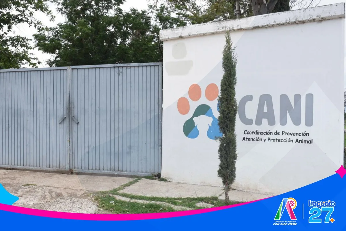 Irapuato impulsa la adopción responsable de mascotas a través del CANI - imagen 4