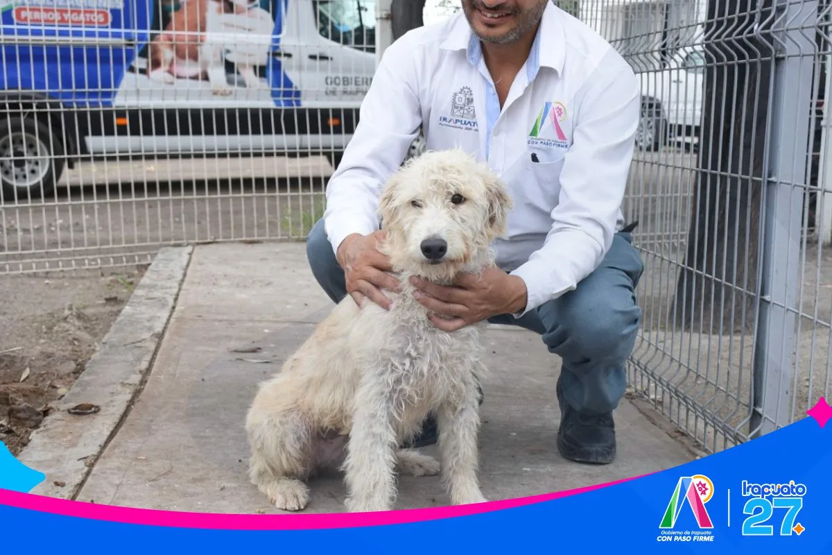 Irapuato impulsa la adopción responsable de mascotas a través del CANI - imagen 6