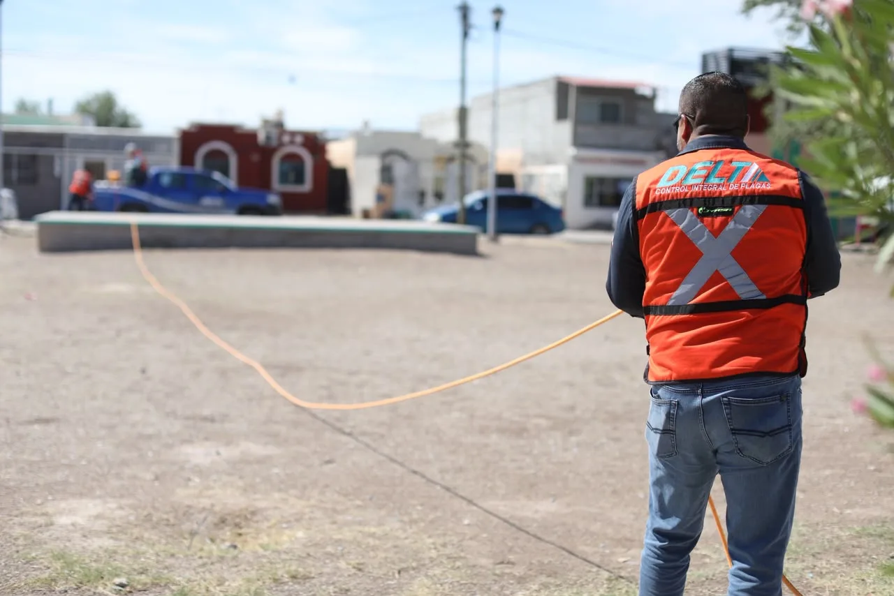 Inician fumigaciones masivas contra la garrapata en Riberas del Bravo para prevenir rickettsia - imagen 8