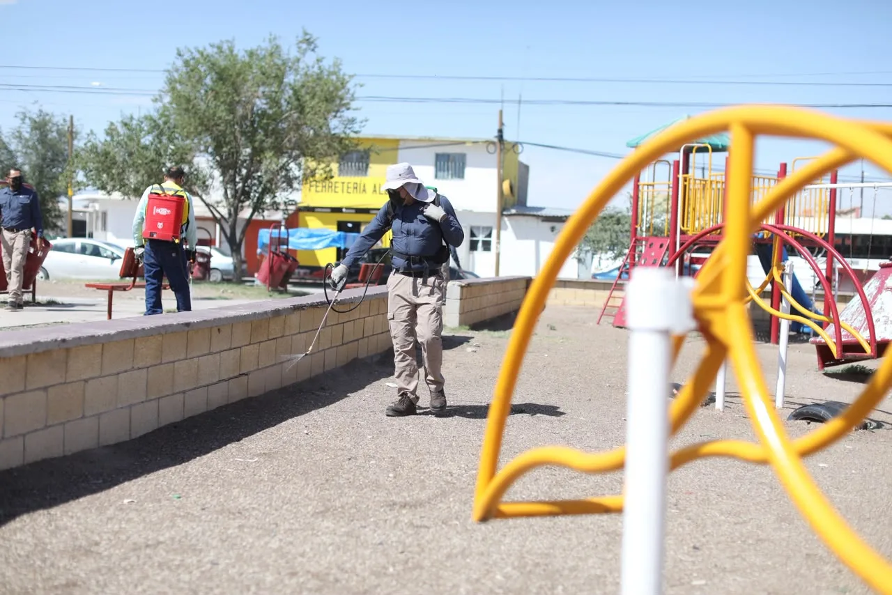 Inician fumigaciones masivas contra la garrapata en Riberas del Bravo para prevenir rickettsia - imagen 9