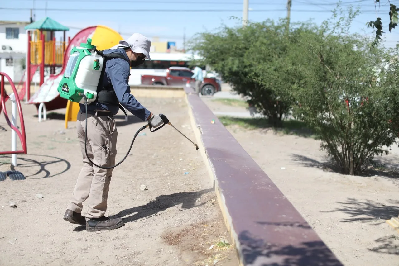 Inician fumigaciones masivas contra la garrapata en Riberas del Bravo para prevenir rickettsia - imagen 10