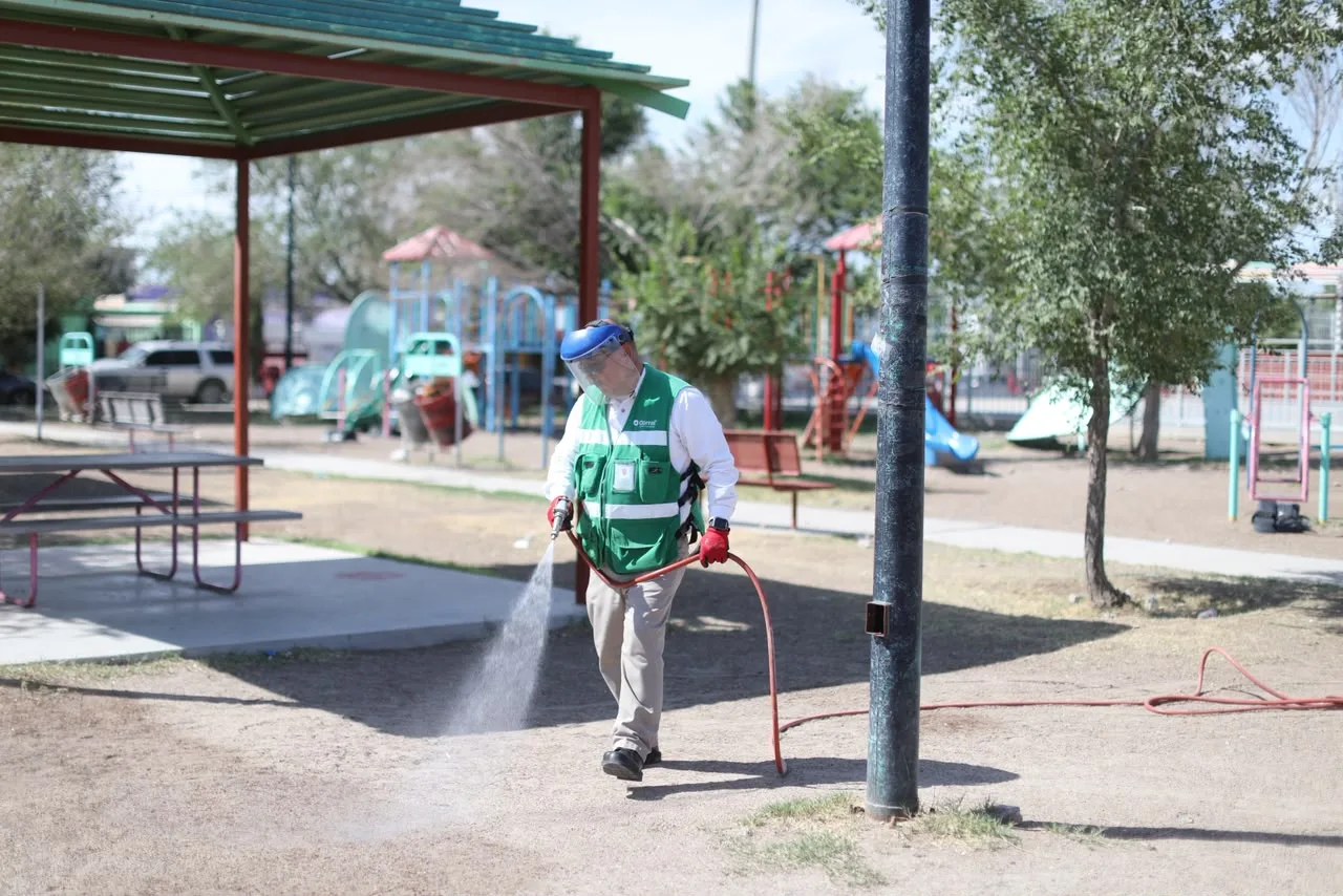 Inician fumigaciones masivas contra la garrapata en Riberas del Bravo para prevenir rickettsia - imagen 11