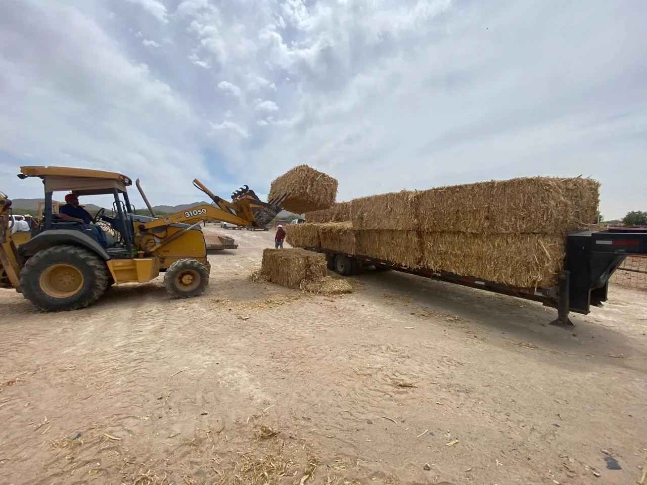 Estado entrega 229 pacas de rastrojo de maíz a productores pecuarios de Ciudad Juárez - imagen 3