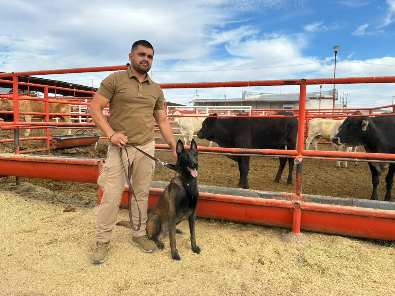 Chihuahua capacita a veterinarios para operar binomios caninos contra el gusano barrenador del ganado - imagen 3