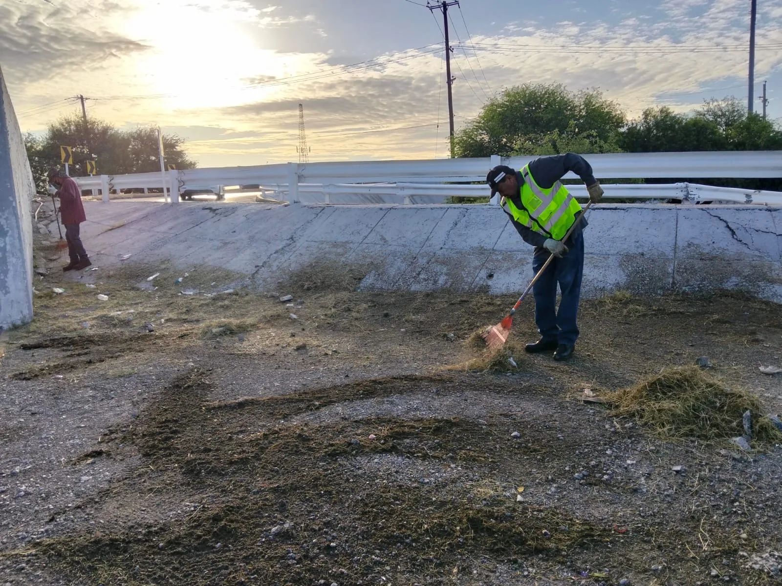 Servicios Públicos realiza mantenimiento en áreas verdes del Puente del Trébol en Torreón - imagen 2
