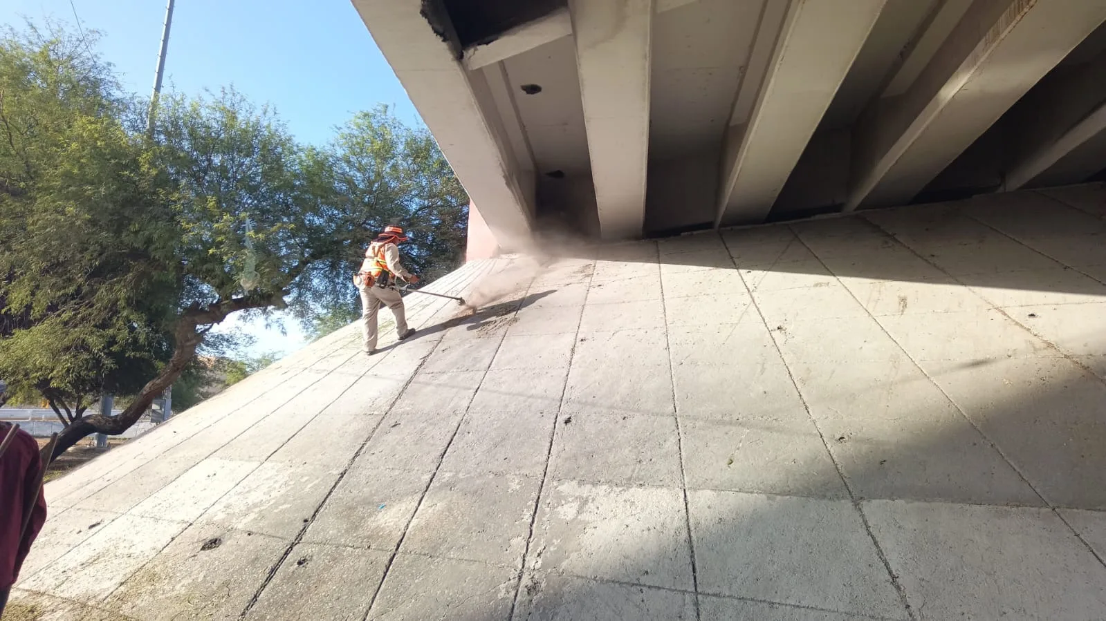 Servicios Públicos realiza mantenimiento en áreas verdes del Puente del Trébol en Torreón - imagen 6