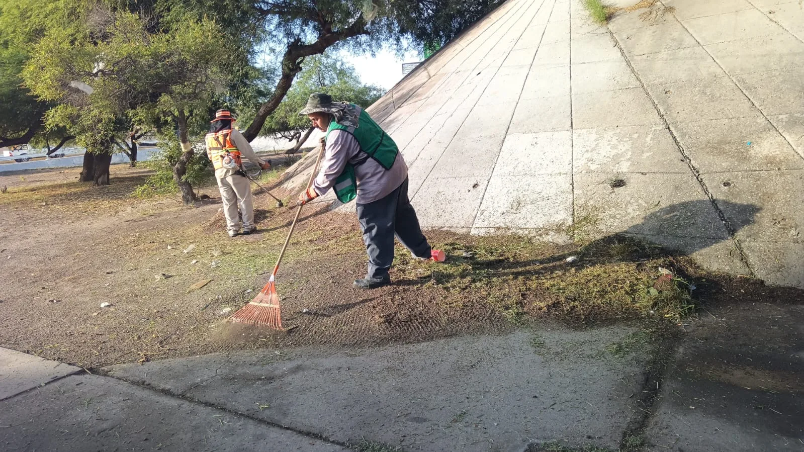 Servicios Públicos realiza mantenimiento en áreas verdes del Puente del Trébol en Torreón - imagen 7