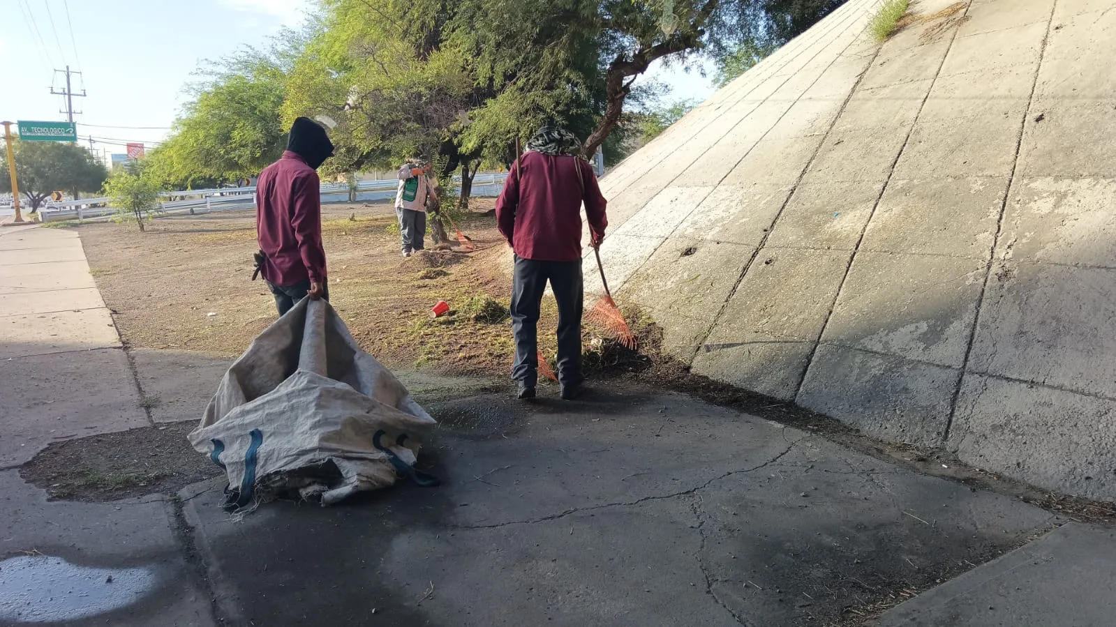 Servicios Públicos realiza mantenimiento en áreas verdes del Puente del Trébol en Torreón - imagen 8