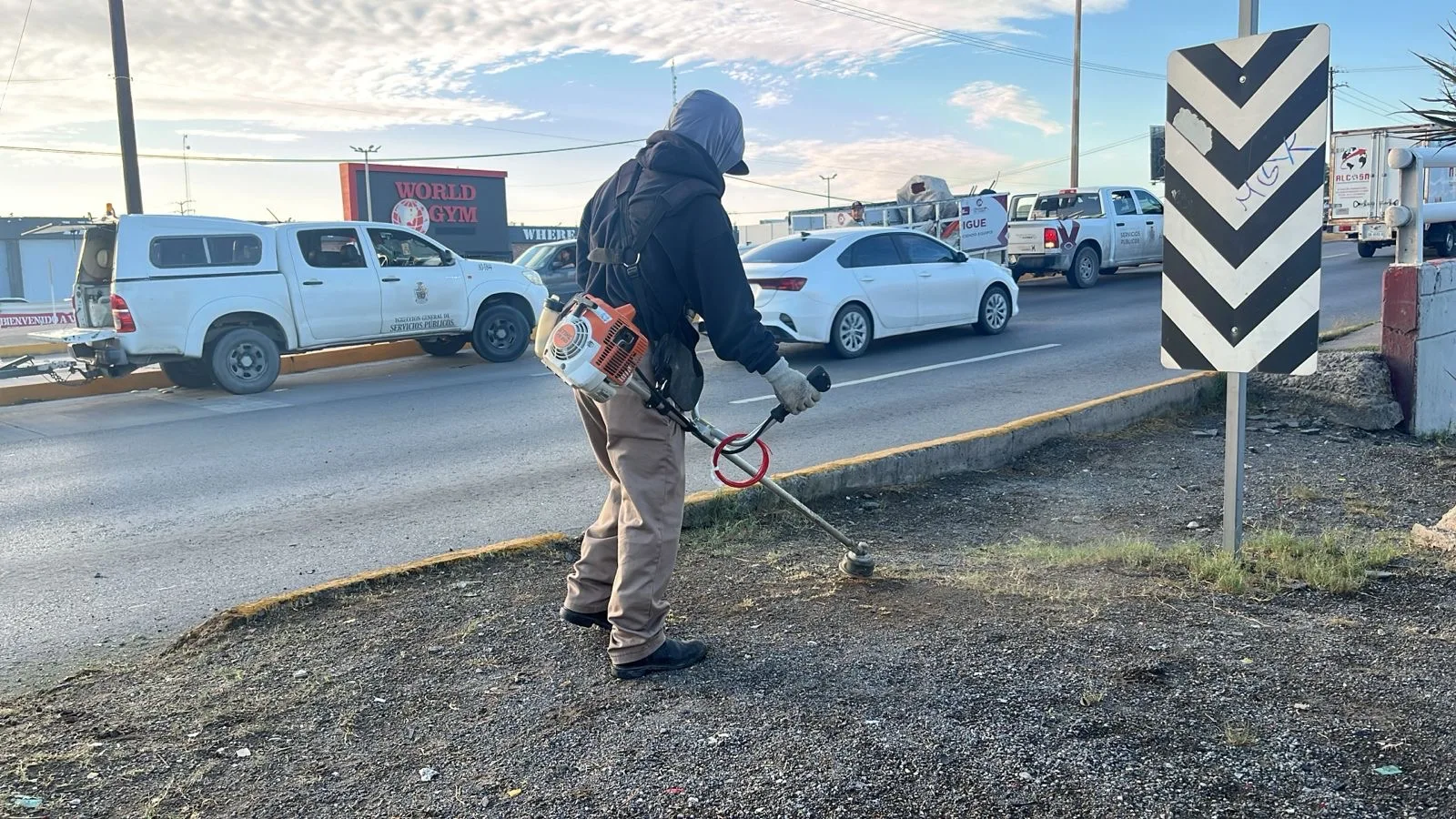 Servicios Públicos realiza mantenimiento en áreas verdes del Puente del Trébol en Torreón - imagen 9