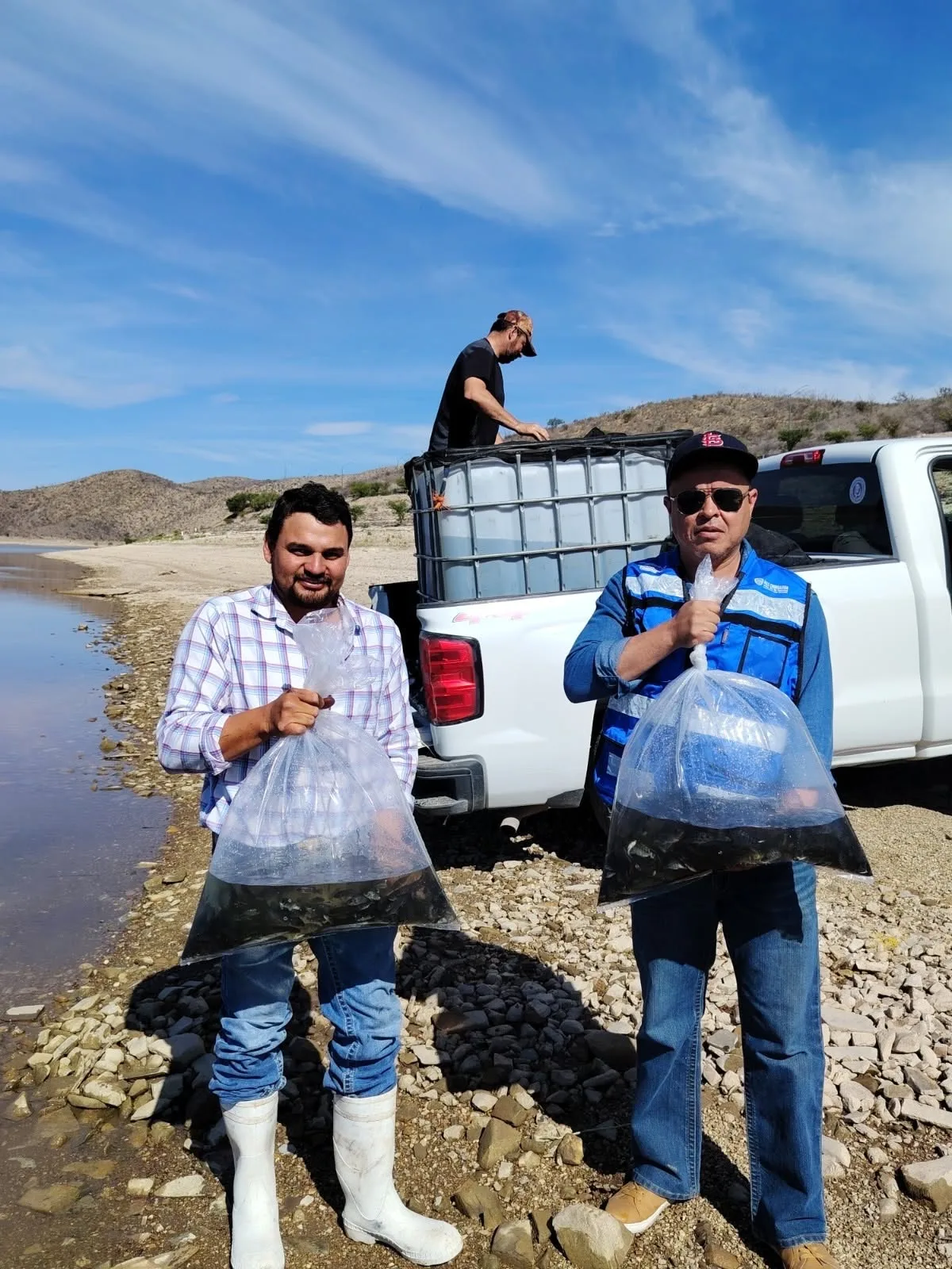 Abren convocatoria en Chihuahua para apoyo a la compra de alevines en el sector rural - imagen 1