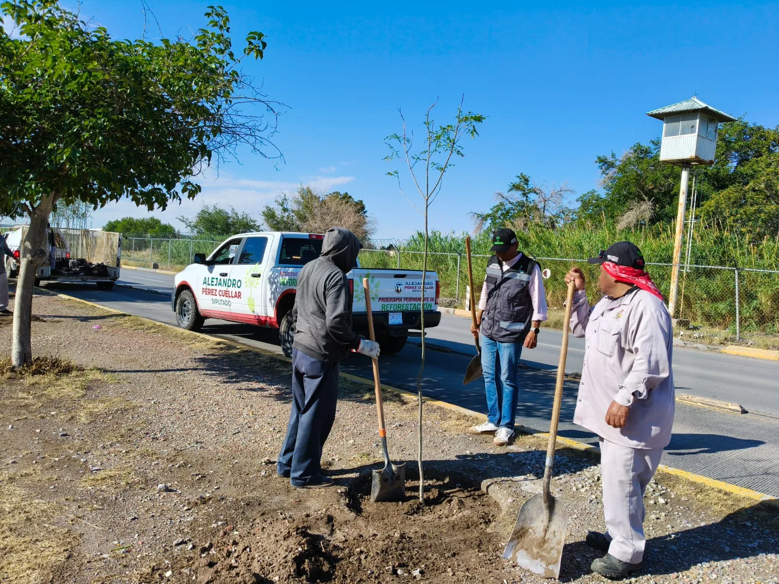 Plantan 50 fresnos en camellón del eje Vial Juan Gabriel para mejorar espacios urbanos - imagen 1