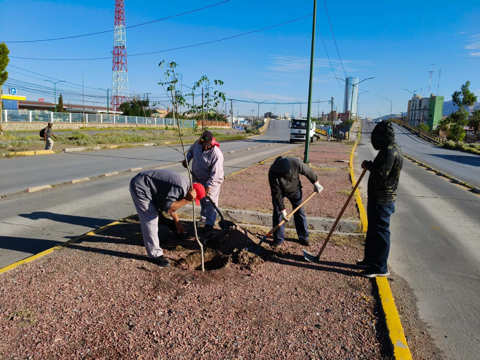 Plantan 50 fresnos en camellón del eje Vial Juan Gabriel para mejorar espacios urbanos - imagen 5