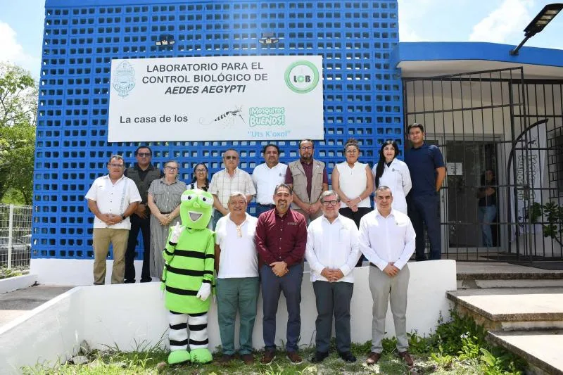 Yucatán comparte con Campeche estrategia innovadora para controlar el dengue - imagen 3