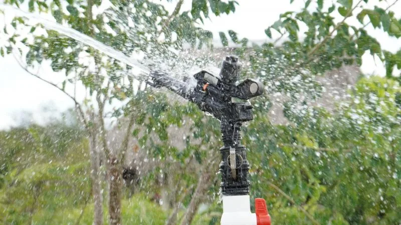 Sistema de riego con paneles solares impulsa la producción agrícola en Motul, Yucatán - imagen 1