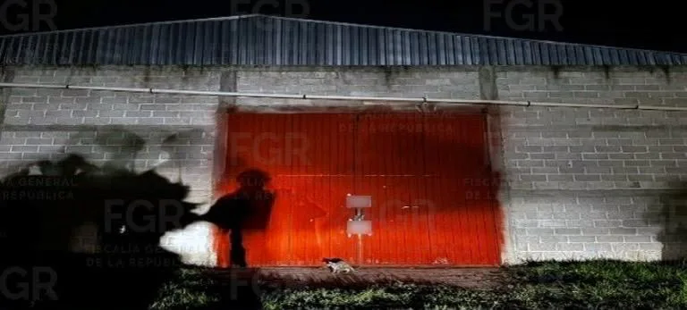 FGR y fuerzas federales decomisan casi una tonelada de cocaína y armas en Tlaxcala - imagen 6