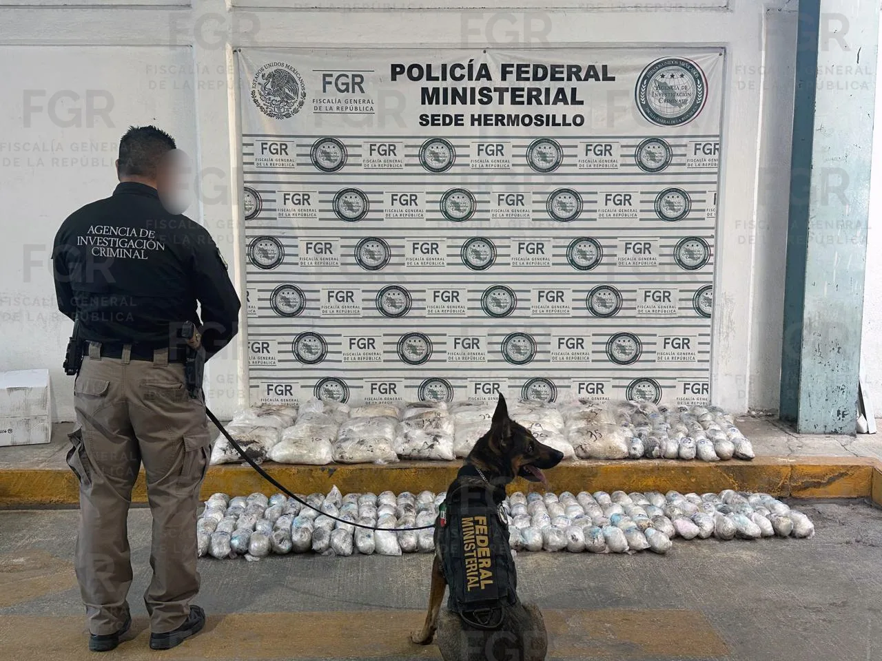 FGR asegura más de 145 kilos de metanfetamina en Hermosillo, Sonora - imagen 4
