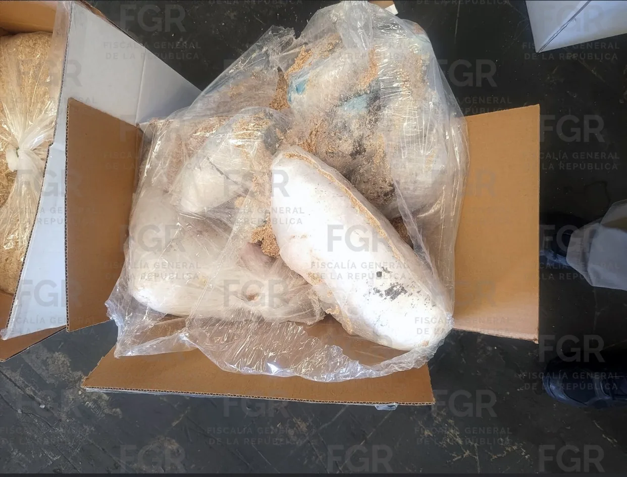 FGR asegura más de 145 kilos de metanfetamina en Hermosillo, Sonora - imagen 8