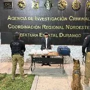 Detienen en Durango a persona con 15 kg de metanfetamina en autobús de pasajeros - imagen 1