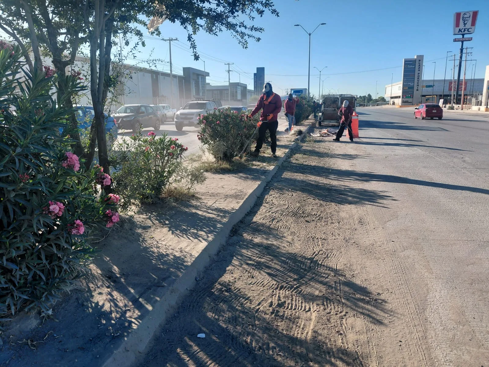 Realizan mantenimiento en camellón central de la carretera Juárez-Porvenir para mejorar condiciones viales - imagen 4