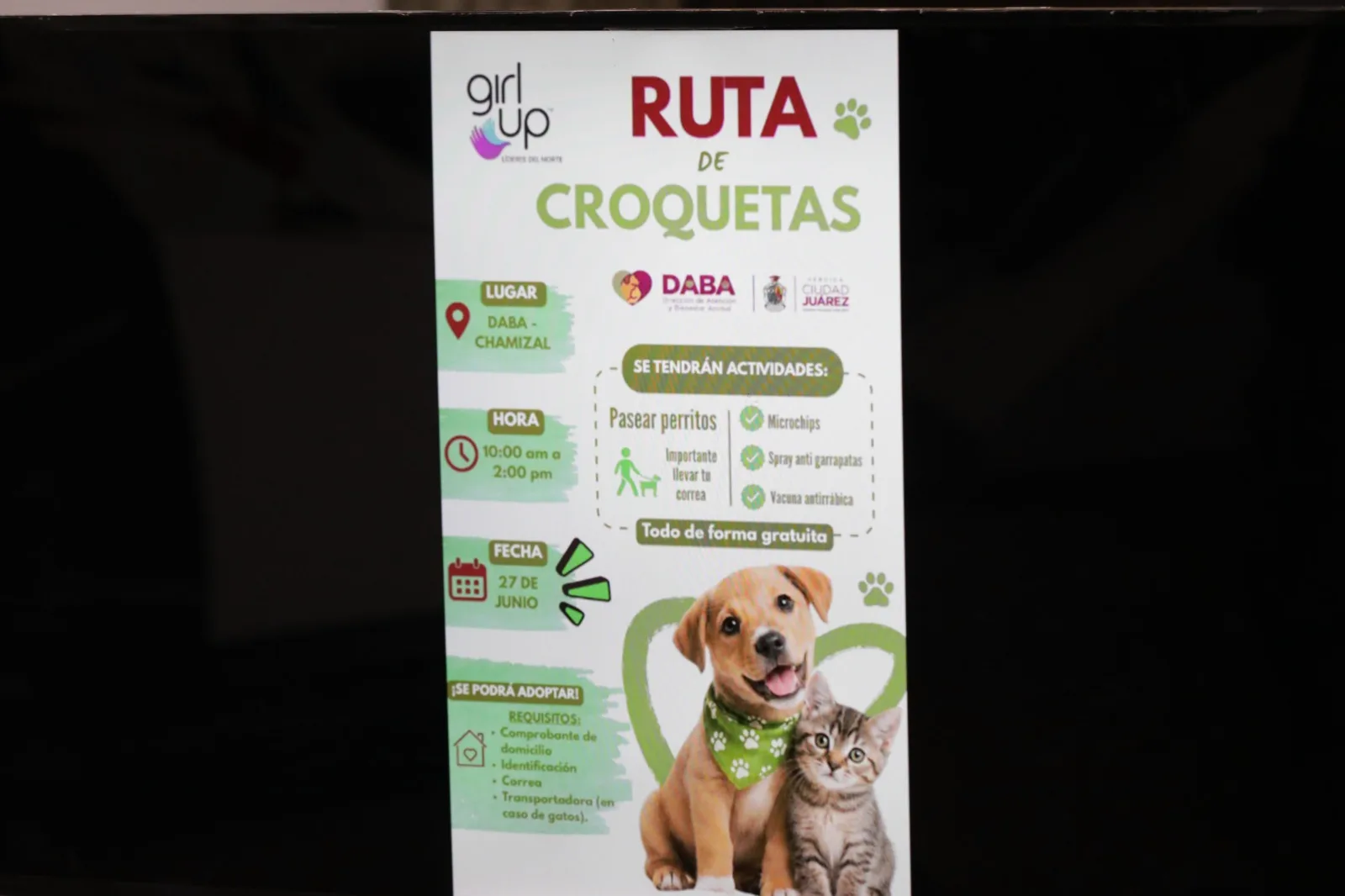 DABA y Girl Up Líderes del Norte organizan Ruta de Croquetas en Ciudad Juárez para promover adopción y bienestar animal - imagen 3