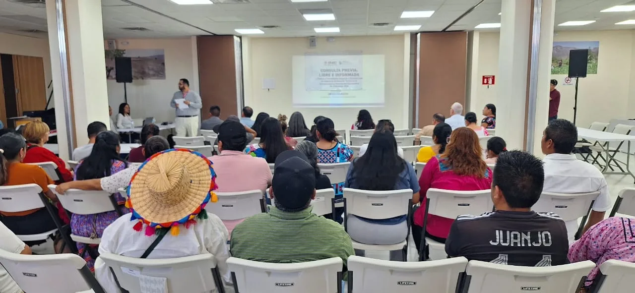 Consulta indígena y afromexicana define distritación electoral en 67 municipios de Oaxaca - imagen 4