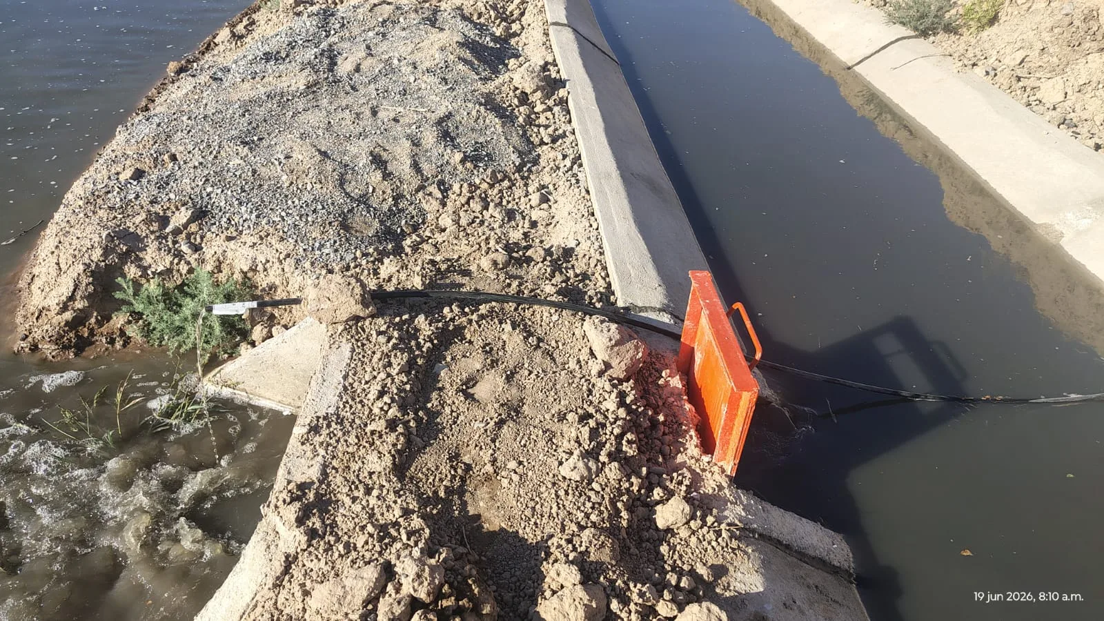 Innovan en cultivo de algodón en Valle de Juárez con tratamientos para mejorar retención de humedad y nutrición - imagen 7