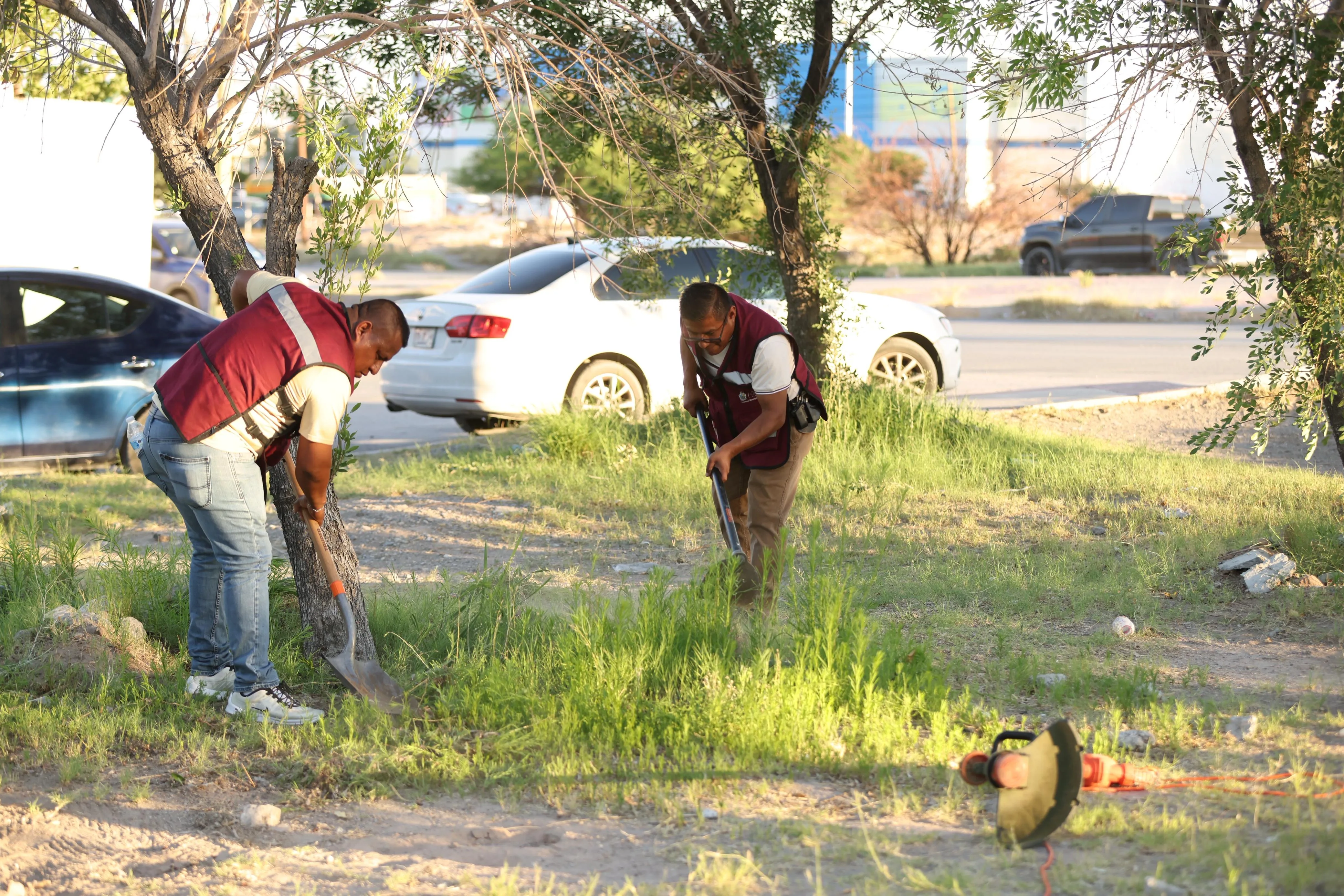 Presidente Municipal de Juárez convoca a vecinos a limpiar parque en Colinas del Sol - imagen 17