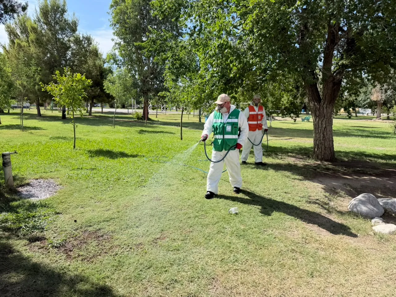 Inician fumigación contra garrapatas en parque Los Güeros y zonas aledañas en Ciudad Juárez - imagen 1