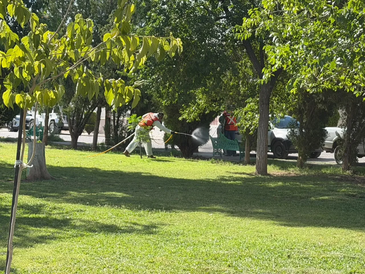 Inician fumigación contra garrapatas en parque Los Güeros y zonas aledañas en Ciudad Juárez - imagen 6