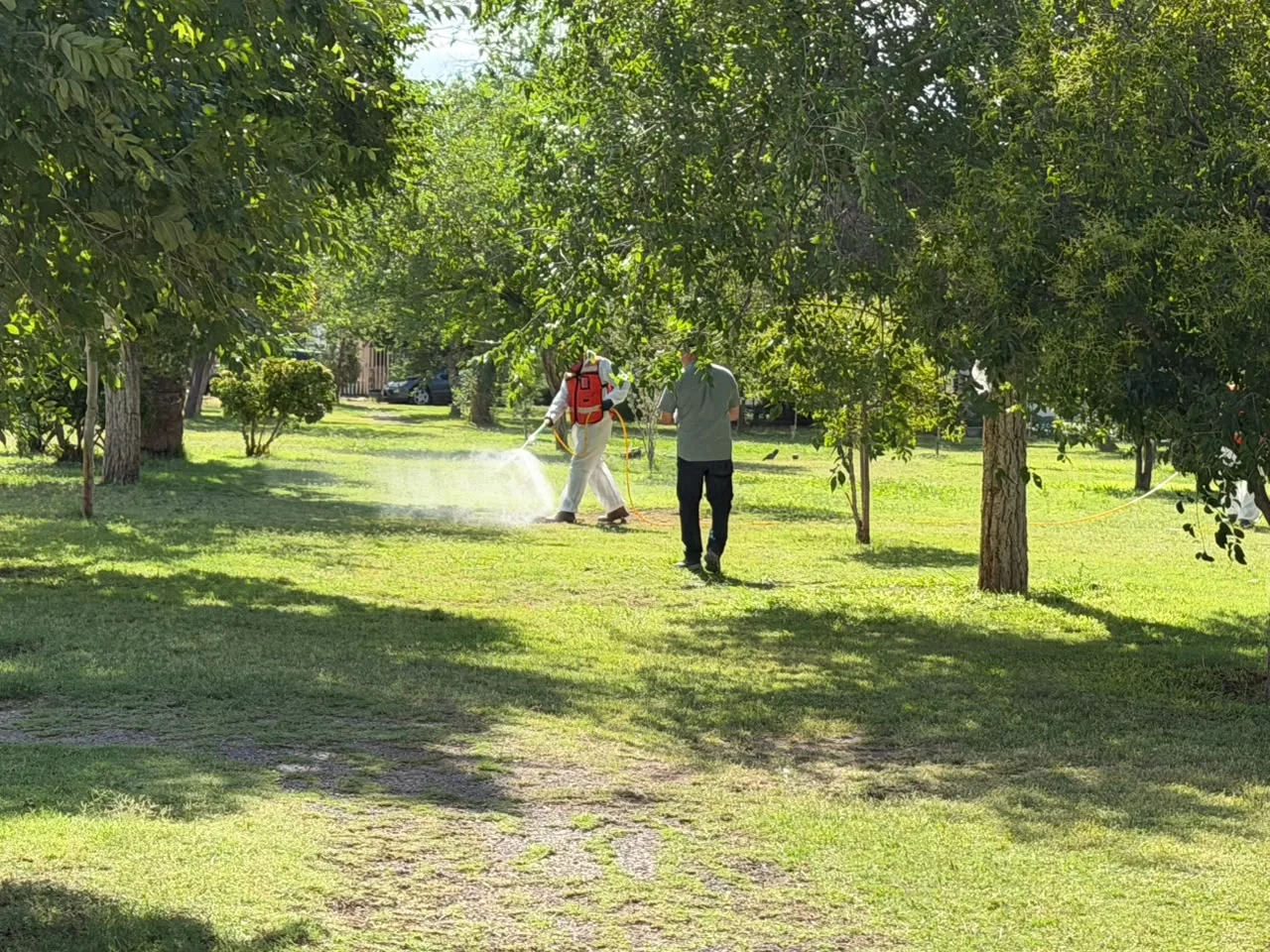 Inician fumigación contra garrapatas en parque Los Güeros y zonas aledañas en Ciudad Juárez - imagen 7