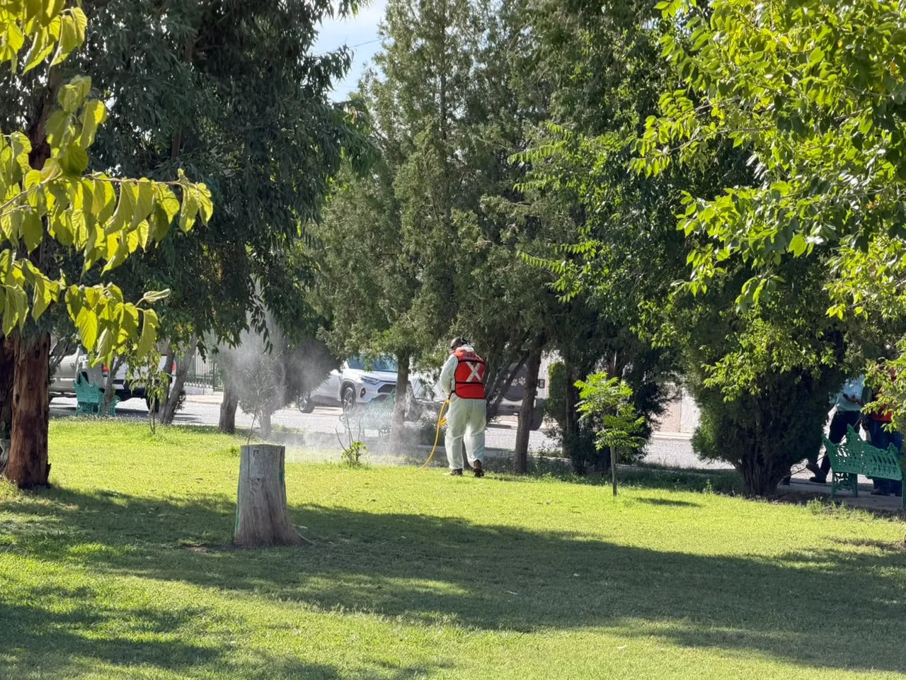 Inician fumigación contra garrapatas en parque Los Güeros y zonas aledañas en Ciudad Juárez - imagen 9