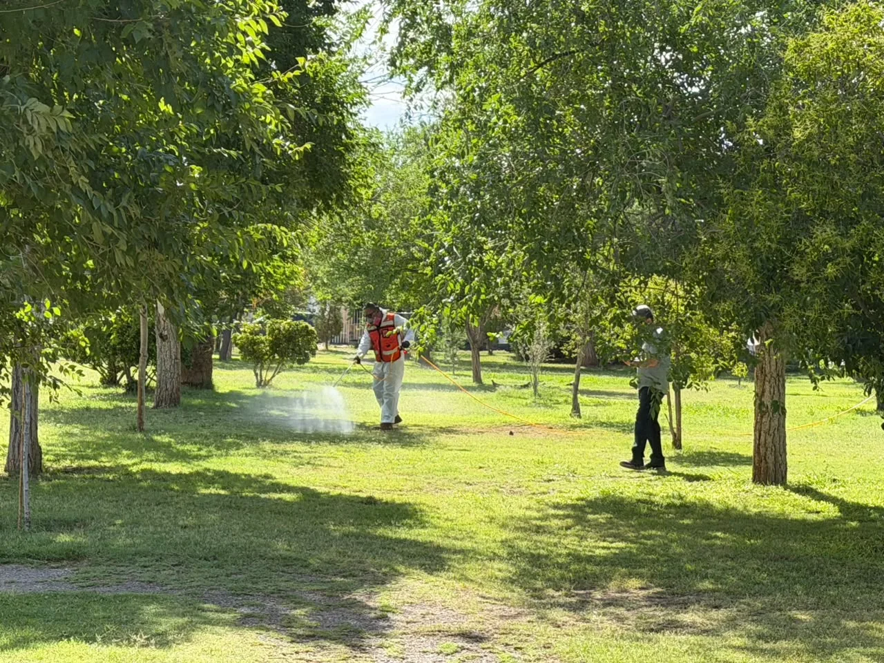 Inician fumigación contra garrapatas en parque Los Güeros y zonas aledañas en Ciudad Juárez - imagen 11