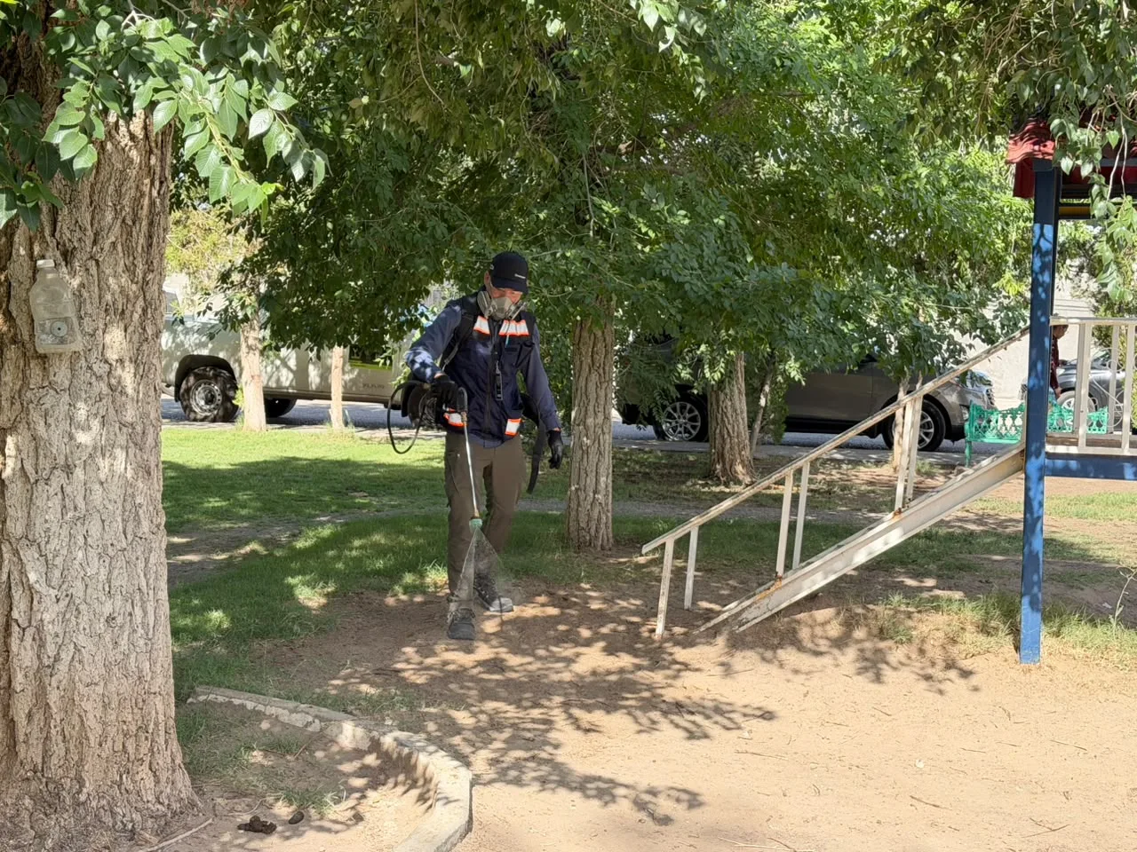 Inician fumigación contra garrapatas en parque Los Güeros y zonas aledañas en Ciudad Juárez - imagen 13