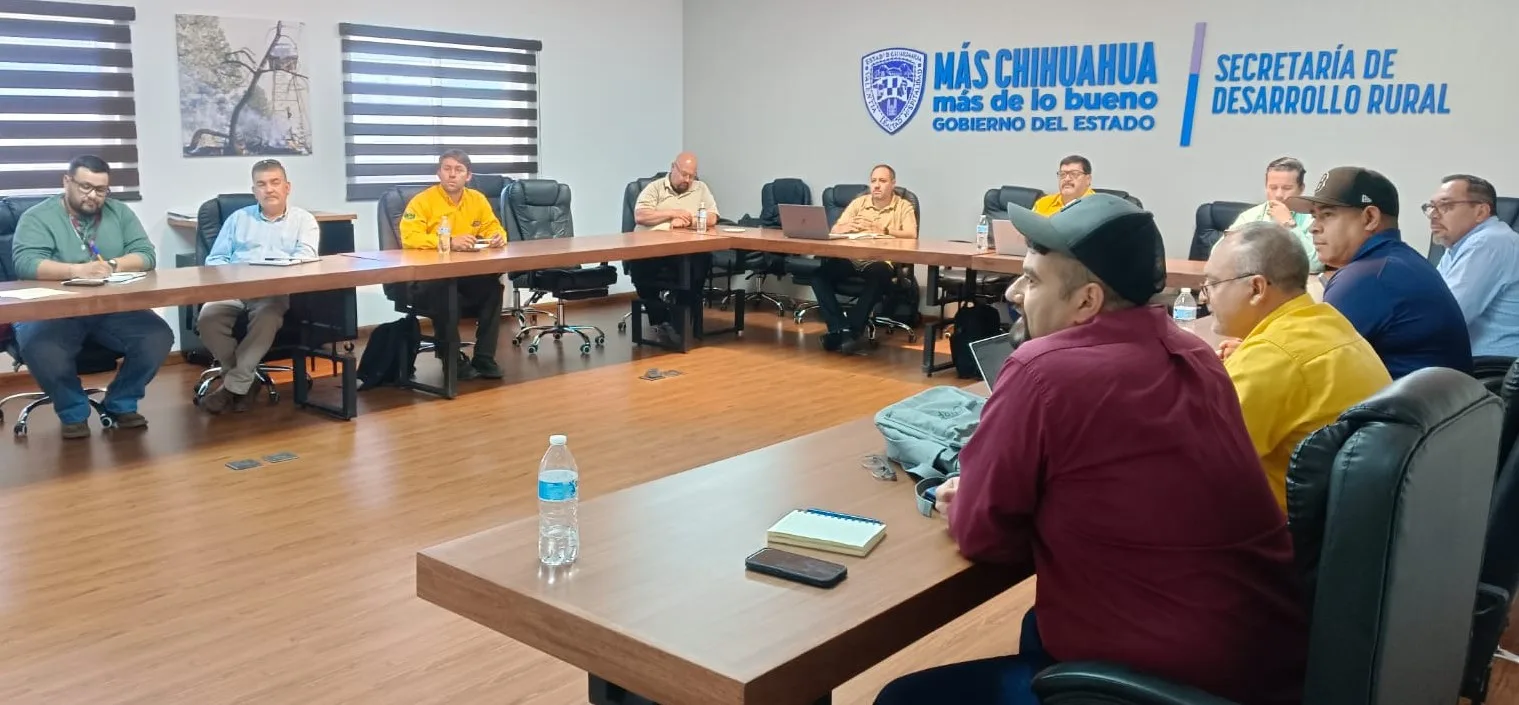 Chihuahua registra 312 incendios forestales en 2026 y mantiene activo un siniestro en Janos - imagen 1