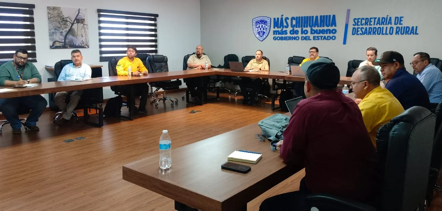 Chihuahua registra 312 incendios forestales en 2026 y mantiene activo un siniestro en Janos - imagen 3
