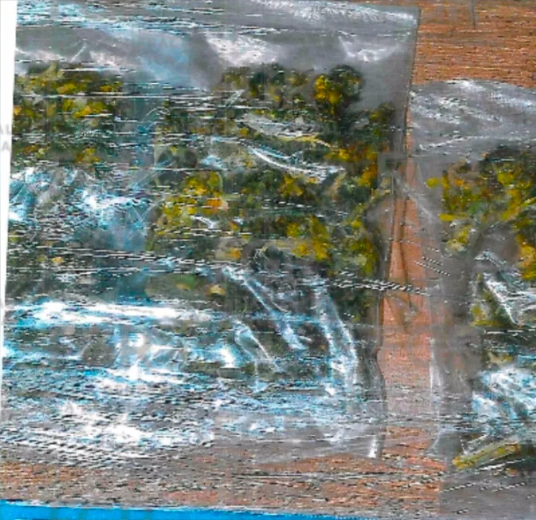 Sentencian a más de 24 años de prisión a detenido con armas y drogas en Guerrero - imagen 2