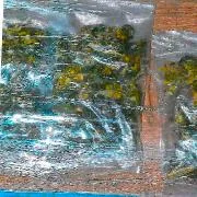 Sentencian a más de 24 años de prisión a detenido con armas y drogas en Guerrero - imagen 3