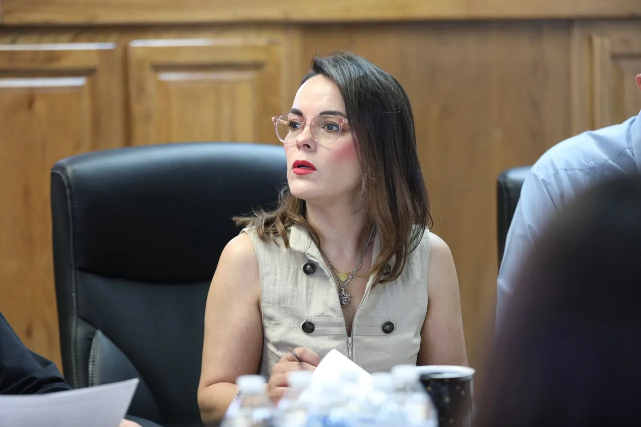Regidores de Juárez entrevistan a aspirantes para el Consejo Consultivo de Movilidad Humana - imagen 5