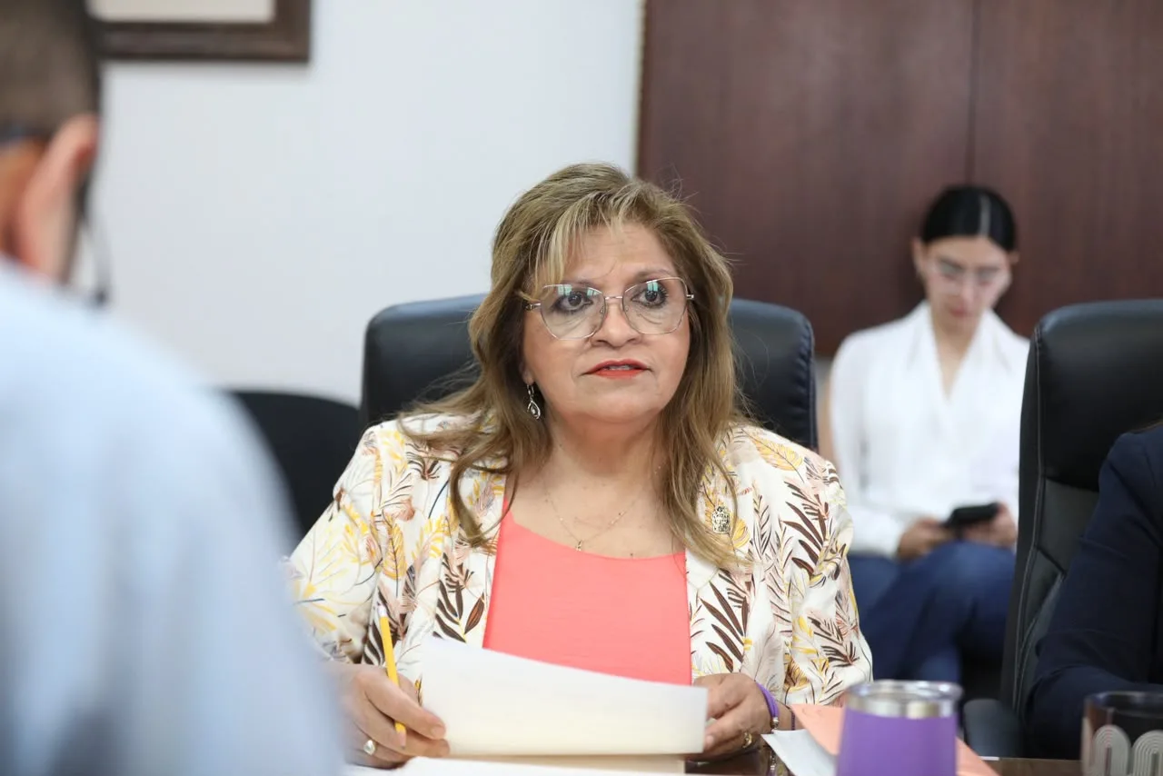 Regidores de Juárez entrevistan a aspirantes para el Consejo Consultivo de Movilidad Humana - imagen 9