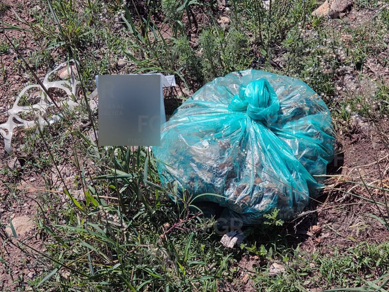 FGR realiza cateo en Durango y asegura armas, vehículos y drogas en San Francisco del Manzanal - imagen 2