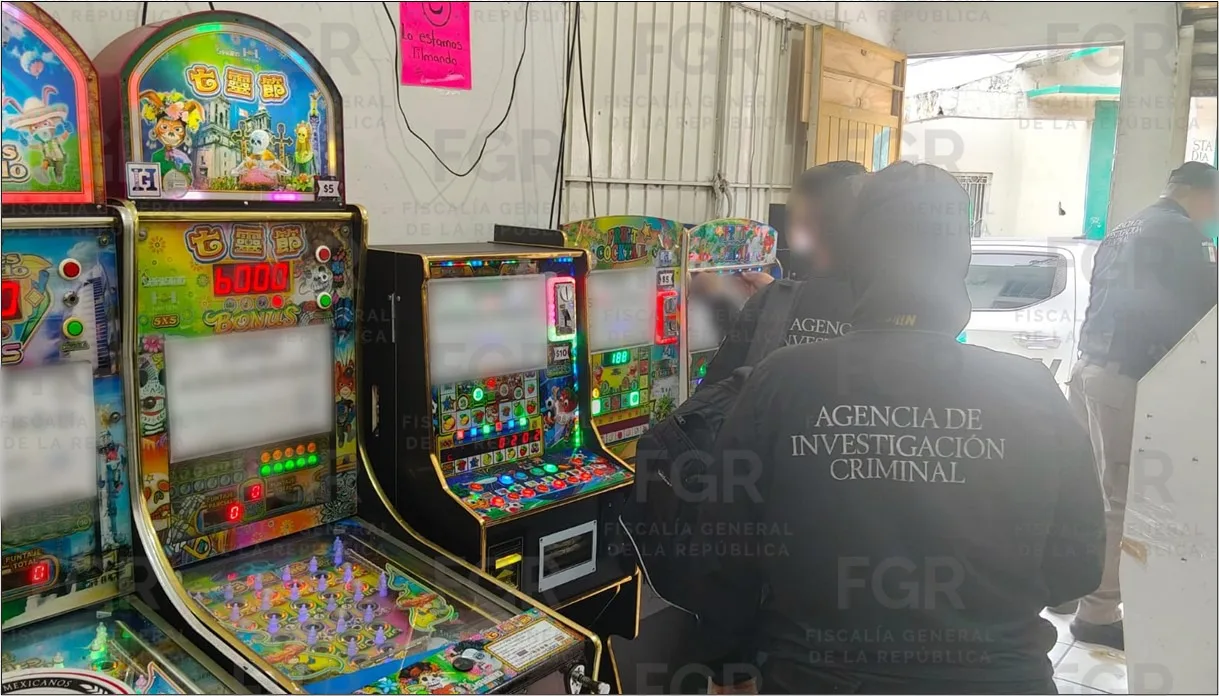 FGR asegura máquinas tragamonedas y cámaras en cateo en Veracruz - imagen 6