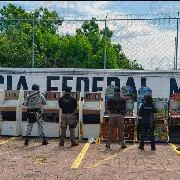 FGR asegura máquinas tragamonedas y cámaras en cateo en Veracruz - imagen 9