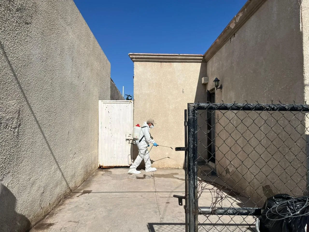 Fumigan vivienda en colonia Hidalgo tras muerte por posible rickettsia - imagen 1