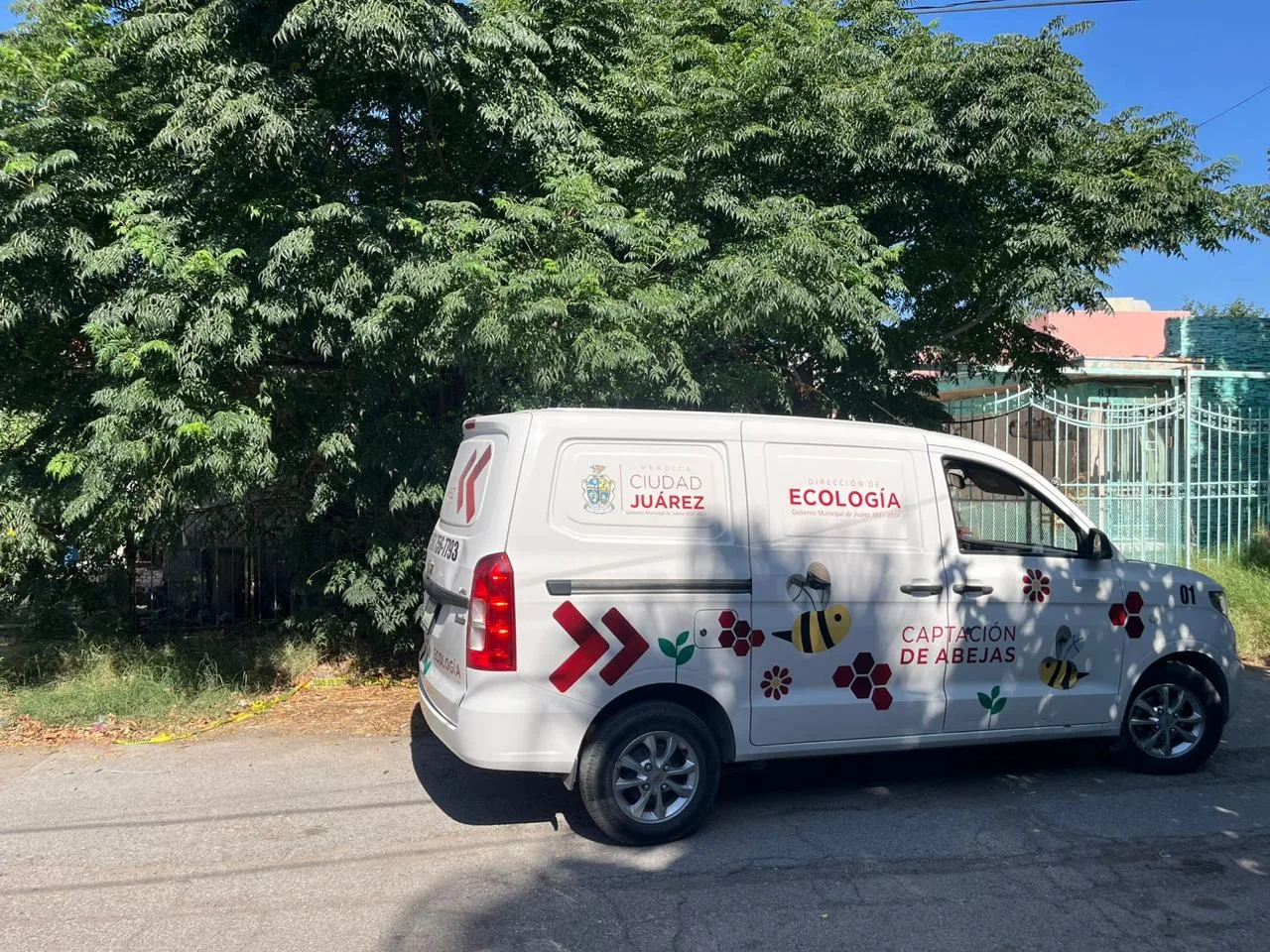 Fumigan vivienda en colonia Hidalgo tras muerte por posible rickettsia - imagen 3